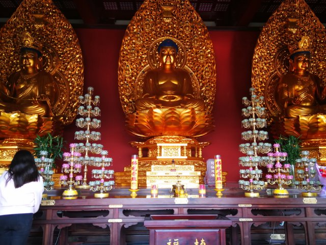 bagoly tiborék kínában 54